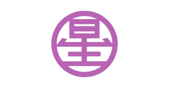 株式会社星組